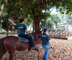 WhatsApp-Image-2020-09-01-at-15.49.00-Custom