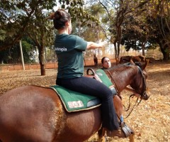 WhatsApp-Image-2020-09-01-at-15.49.01-1-Custom