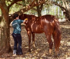 WhatsApp-Image-2020-09-01-at-15.49.02-1-Custom