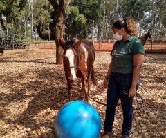 WhatsApp-Image-2020-09-01-at-16.10.27-Custom