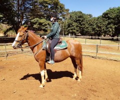 WhatsApp-Image-2020-08-05-at-12.27.43-1-Custom