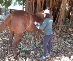 WhatsApp-Image-2020-08-05-at-13.55.55-Custom