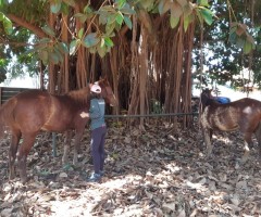 WhatsApp-Image-2020-08-05-at-13.56.10-Custom