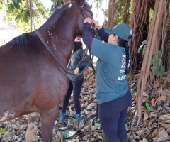 WhatsApp-Image-2020-08-05-at-13.58.50-Custom