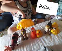 WhatsApp-Image-2020-08-18-at-17.37.09