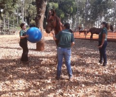 WhatsApp-Image-2020-09-01-at-15.24.16-Medium