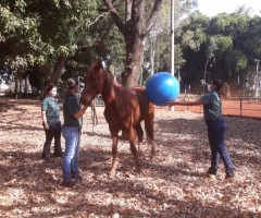 WhatsApp-Image-2020-09-01-at-15.24.18-Medium