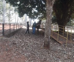 WhatsApp-Image-2020-09-01-at-15.24.20-1-Medium