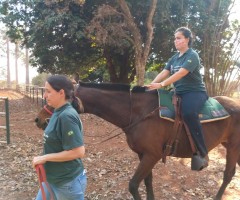 WhatsApp-Image-2020-09-01-at-15.46.20-Medium