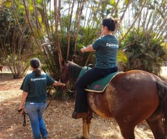 WhatsApp-Image-2020-09-01-at-15.48.44-Medium