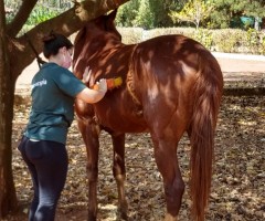 WhatsApp-Image-2020-09-01-at-15.49.04-Medium