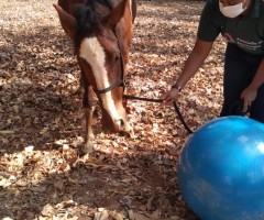 WhatsApp-Image-2020-09-01-at-16.10.20-Medium