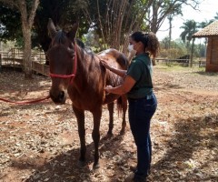 WhatsApp-Image-2020-09-01-at-16.10.27-1-Medium