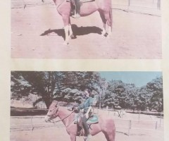 WhatsApp-Image-2020-09-03-at-13.16.10-Medium