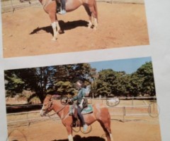 WhatsApp-Image-2020-09-03-at-15.36.31-1-Medium