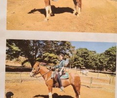 WhatsApp-Image-2020-09-09-at-08.35.34-2-Medium