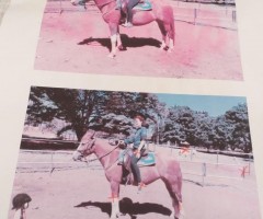 WhatsApp-Image-2020-09-10-at-18.23.51-Medium