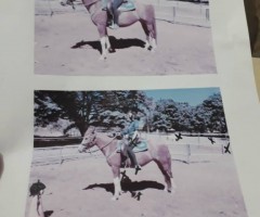 WhatsApp-Image-2020-09-10-at-19.57.02-Medium