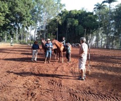 WhatsApp-Image-2020-09-11-at-17.32.47-1-Medium