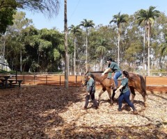 WhatsApp-Image-2020-09-16-at-11.56.04-Medium