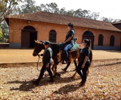 WhatsApp-Image-2020-09-16-at-11.56.12-3-Medium