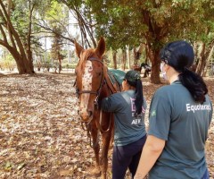 WhatsApp-Image-2020-09-16-at-11.56.13-Medium