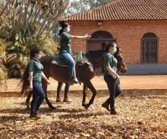 WhatsApp-Image-2020-09-16-at-12.35.26-Medium