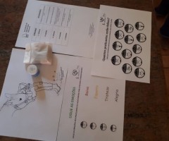 WhatsApp-Image-2020-09-16-at-14.35.04-Medium