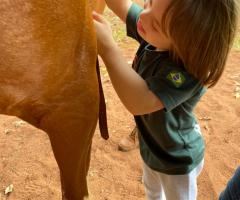 WhatsApp-Image-2021-06-07-at-17.00.33-13