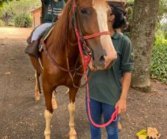 WhatsApp-Image-2021-06-07-at-17.00.33-2