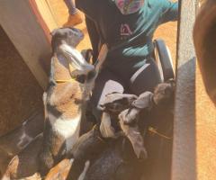 WhatsApp-Image-2021-06-07-at-17.00.33