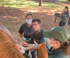 WhatsApp-Image-2021-06-07-at-17.01.06-6