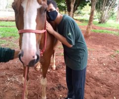 WhatsApp-Image-2020-12-15-at-09.15.20