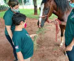 Atendimentos e atividades mês de fevereiro 2021