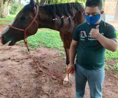 WhatsApp-Image-2021-03-01-at-16.55.44