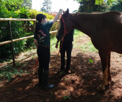 WhatsApp-Image-2021-03-01-at-16.55.45-2