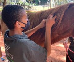 WhatsApp-Image-2021-03-01-at-16.55.46-1