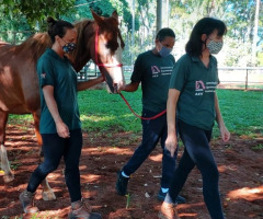 WhatsApp-Image-2021-03-01-at-16.55.46-2