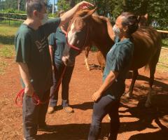 WhatsApp-Image-2021-03-01-at-16.55.47-2