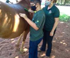 WhatsApp-Image-2021-03-01-at-16.55.47-3