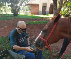 WhatsApp-Image-2021-03-01-at-16.55.48-1