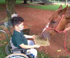 WhatsApp-Image-2021-03-01-at-16.55.48-3