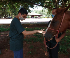 WhatsApp-Image-2021-03-01-at-16.55.48-5