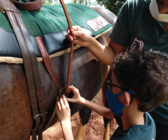 WhatsApp-Image-2021-03-01-at-16.55.49-3