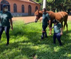 WhatsApp-Image-2021-03-01-at-16.55.49-4