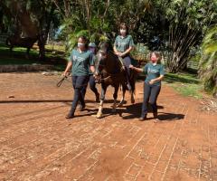 WhatsApp-Image-2021-03-01-at-16.53.08-3