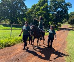 WhatsApp-Image-2021-03-01-at-16.53.08-4