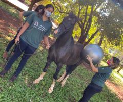 WhatsApp-Image-2021-03-01-at-16.53.08