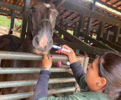 WhatsApp-Image-2021-03-01-at-16.53.09-1