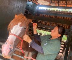 WhatsApp-Image-2021-03-01-at-16.53.09-2